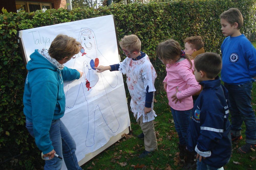 Kinder des Jugendrotkreuz des DRK-Ortsvereins Horst lernen Interessantes über den Blutkreislauf